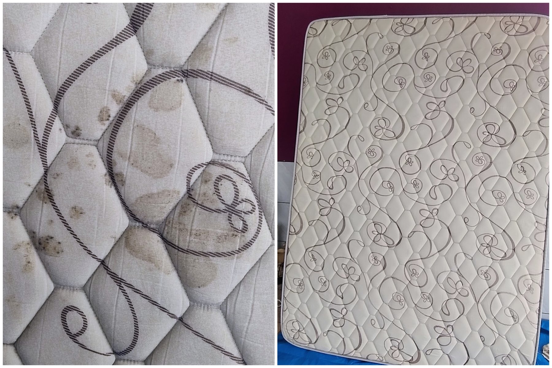 Trabalho realizado por Restaura Plus